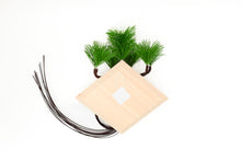 画像をギャラリービューアに読み込む, 根引松板飾り