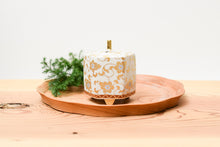 画像をギャラリービューアに読み込む, 3号香炉 白粒鉄仙