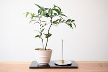 画像をギャラリービューアに読み込む, 香立 キューブ シルバー L