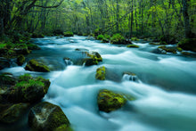 画像をギャラリービューアに読み込む, スティック香 清廉