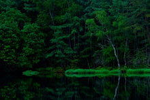 画像をギャラリービューアに読み込む, スティック香 幽玄