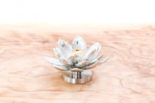 画像をギャラリービューアに読み込む, 香立 蓮