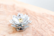 画像をギャラリービューアに読み込む, 香立 蓮