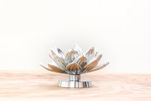 画像をギャラリービューアに読み込む, 香立 蓮