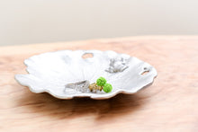 画像をギャラリービューアに読み込む, LOTUS LEAF PLATE