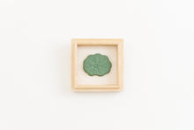 画像をギャラリービューアに読み込む, 印香 蓮の葉